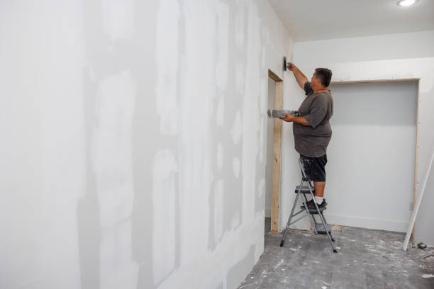 Best Faux Finishing and Decorative Painting  in Chester Gap, VA